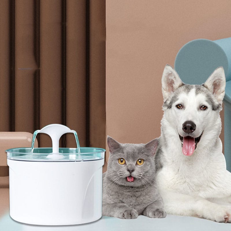 Fontanella HydroPet in bianco e grigio con blu per acqua pulita per animali domestici.