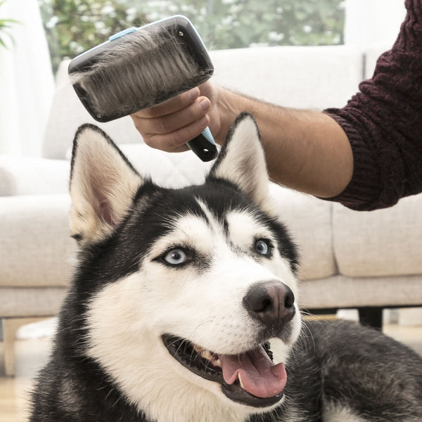 Groombot - la Spazzola per Animali Domestici